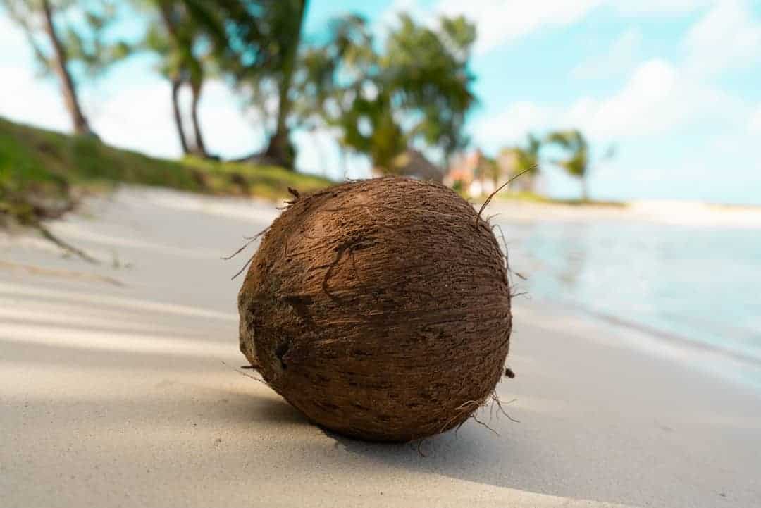 Dream of Coconut Meaning