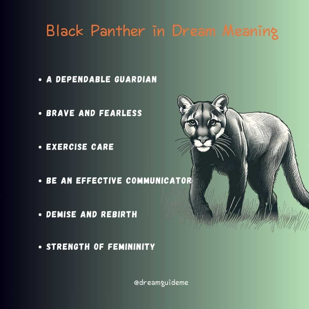 Black Panther in Dream Meaning