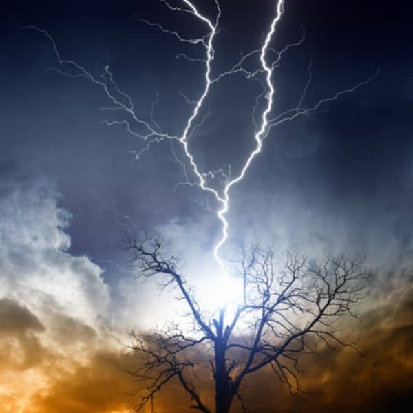 Dream About Lightning Striking a Tree