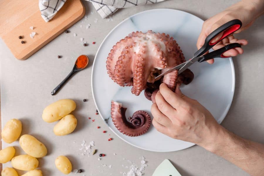 Dream About Eating an Octopus