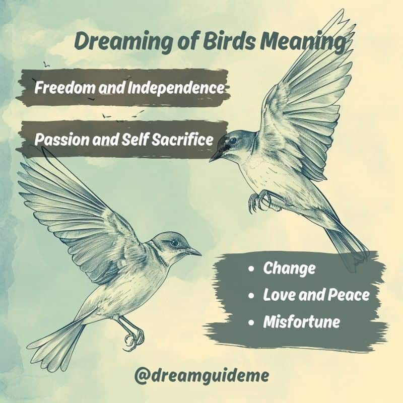Dreaming of Birds Meaning